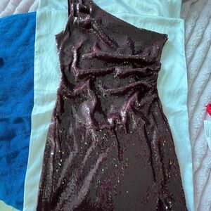 Wild Fable Burgundy Sequin Top